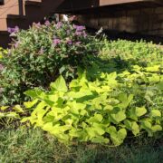 PXL_20210924_125935152