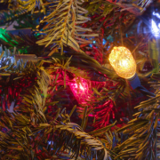 4332639858_a040c6e903_b